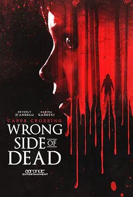 卡普斯穿越：死亡的反面(全集)