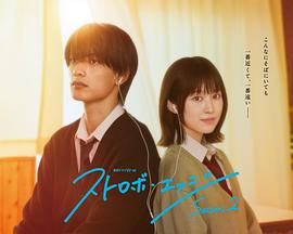 闪烁的爱情 第二季(全集)